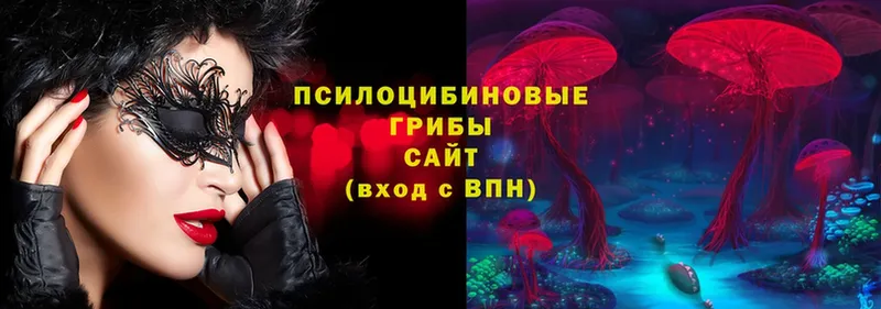 блэк спрут ссылки  Бикин  Псилоцибиновые грибы Cubensis 